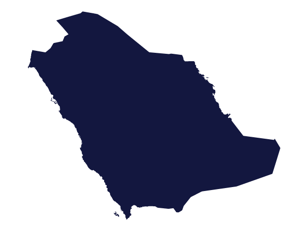 Saudi Arabia Pharmacy Network